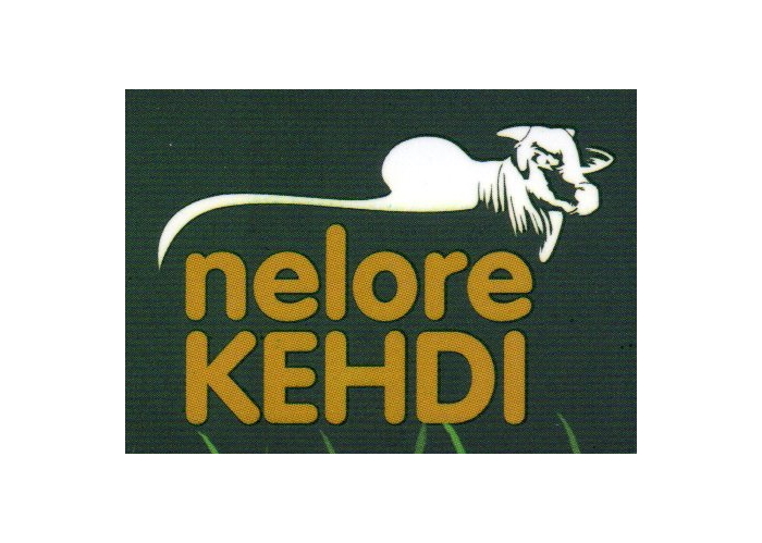Nelore Kehdi