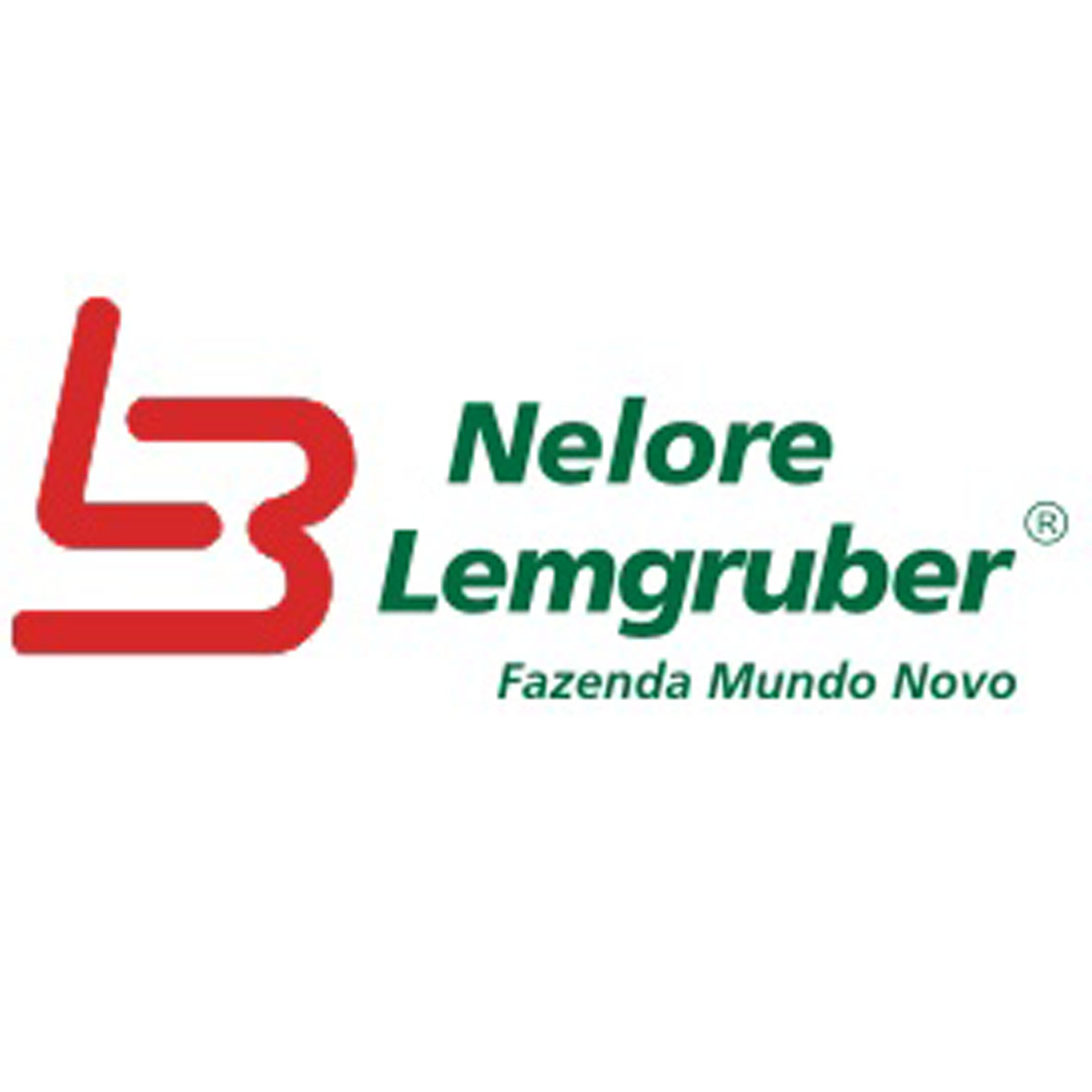 Nelore Lemgruber - Fazenda Mundo Novo