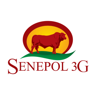 Senepol 3G