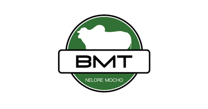 BMT - Nelore Mocho